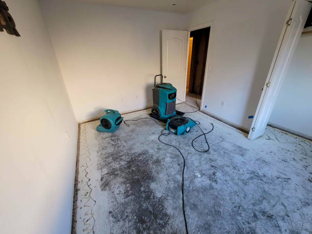 Best 24/7 water damage repair  in Tano Road, NM