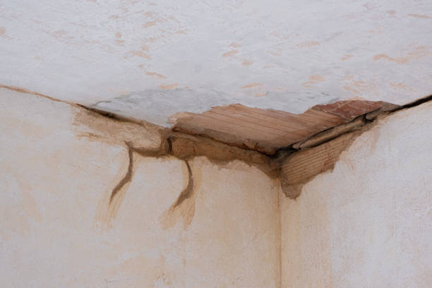 Best Sewage cleanup and water damage restoration  in Tano Road, NM