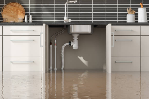 Best Water damage restoration near me  in Tano Road, NM