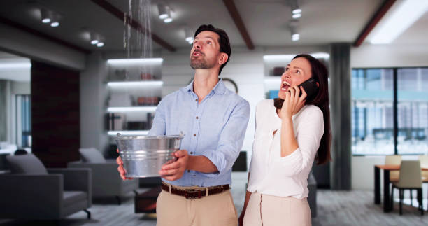 Best Carpet water damage restoration  in Tano Road, NM