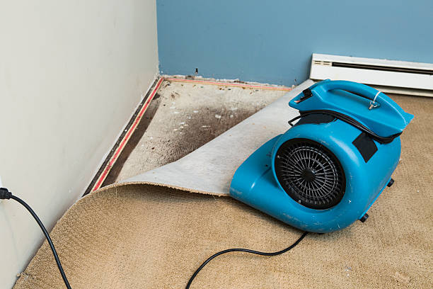 Best Professional water damage repair  in Tano Road, NM